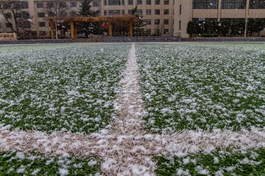 雪后校园风景