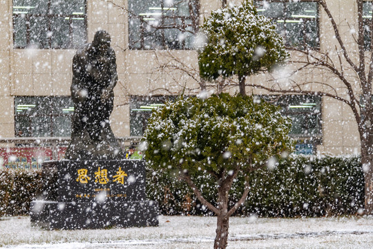 雪后校园景色