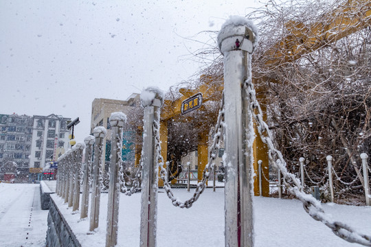 雪后校园