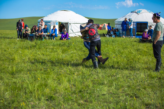 夏季草原蒙古族男子摔跤
