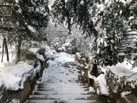 雪景