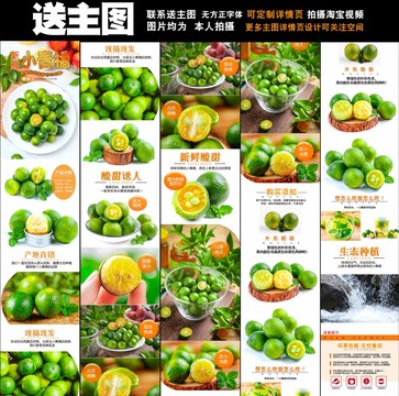 小青桔詳情頁