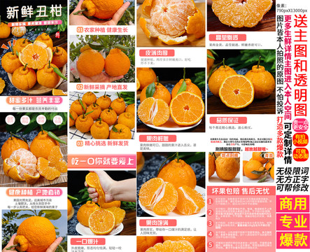 丑柑詳情頁