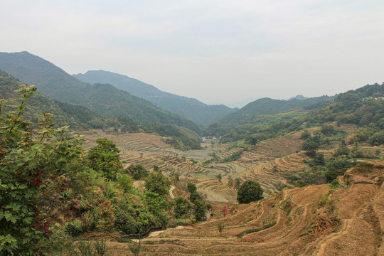 安徽篁岭风光