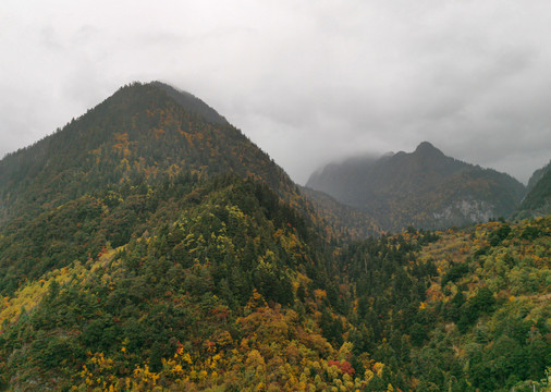 秋季山林