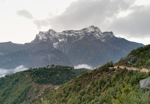 山间林地