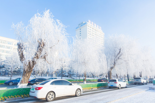 吉林市松花江畔美丽洁白的雾凇