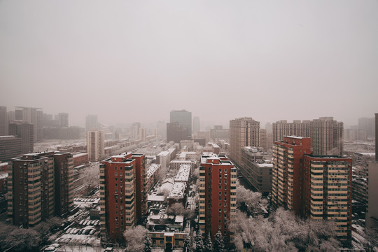 城市雪景