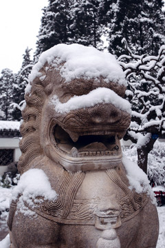 雪