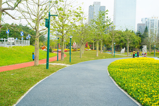 广州城市花园小路