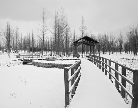 雪景