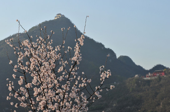 春天美景