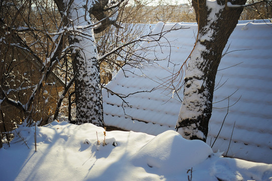 雪乡