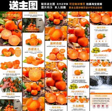 巧克力柿子詳情頁