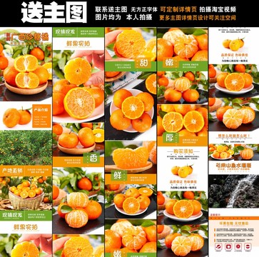 砂糖橘詳情