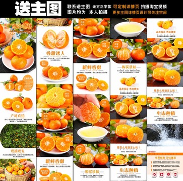 砂糖橘詳情頁