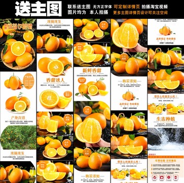 臍橙詳情
