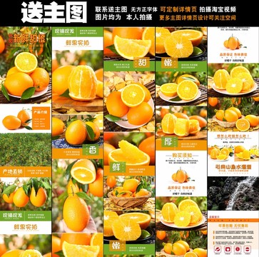 長虹橙詳情頁