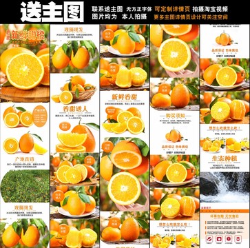 紐荷爾臍橙詳情頁