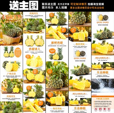 海南香水菠蘿