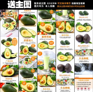牛油果詳情