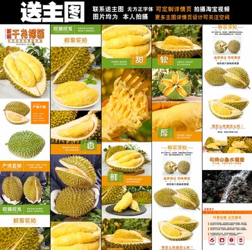 干堯榴蓮詳情