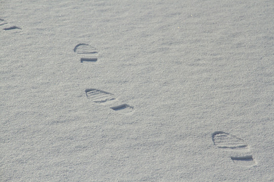 雪地上的脚印