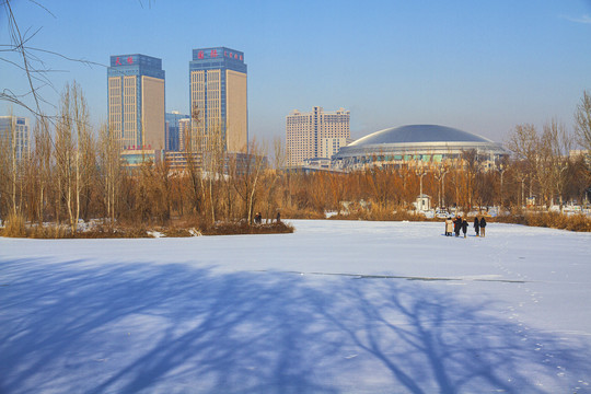 滨湖公园冬景