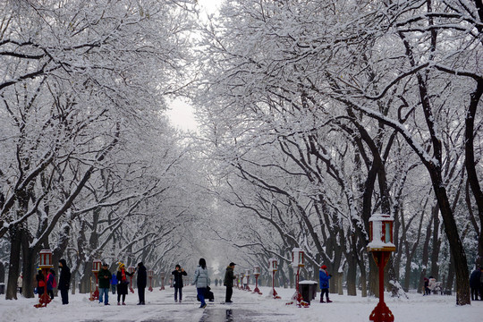 天坛雪景