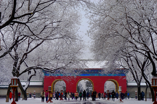 天坛雪景