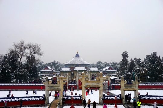 天坛雪景