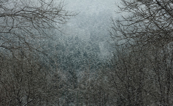 雪景