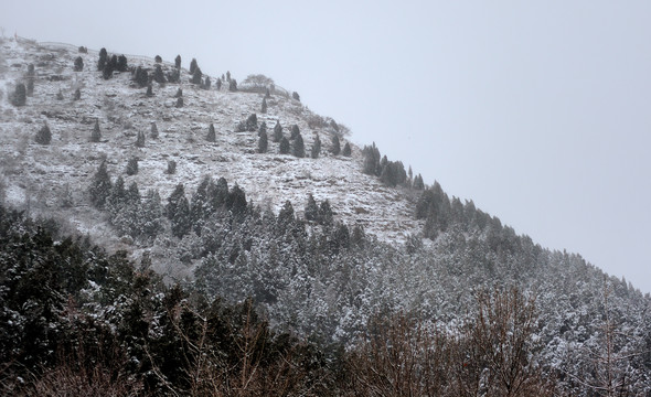 雪山