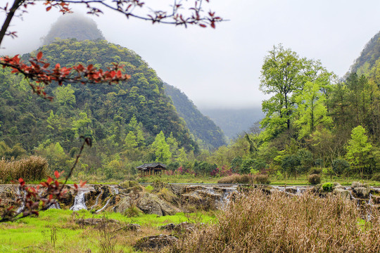 上几定湿地风光