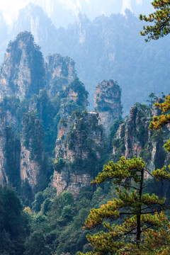 张家界森林公园天门山