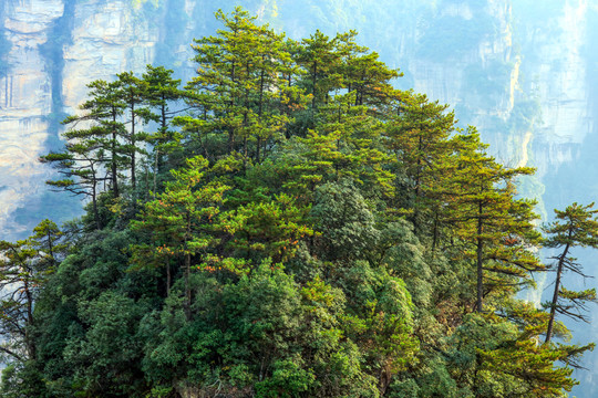 张家界森林公园天门山