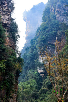 张家界森林公园天门山