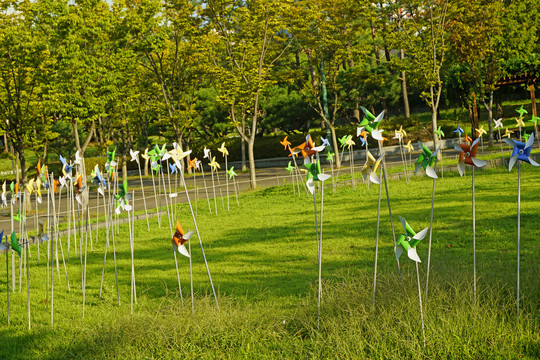 韩国水原孝园公园插满风车的草坪