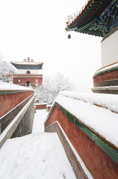 北京颐和园四大部洲景区雪景