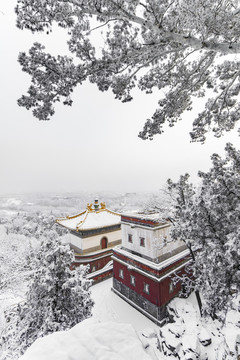 北京颐和园四大部洲景区冬日雪景