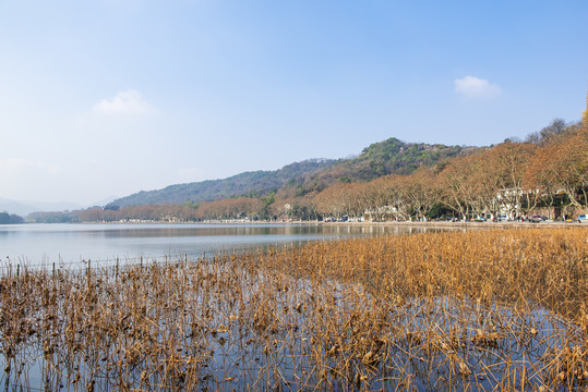 冬天的西湖美景