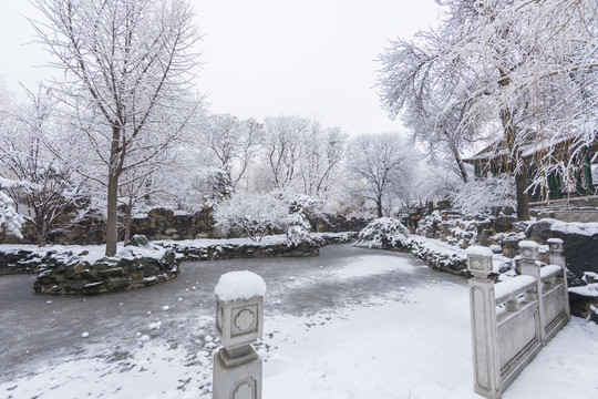 北京雪