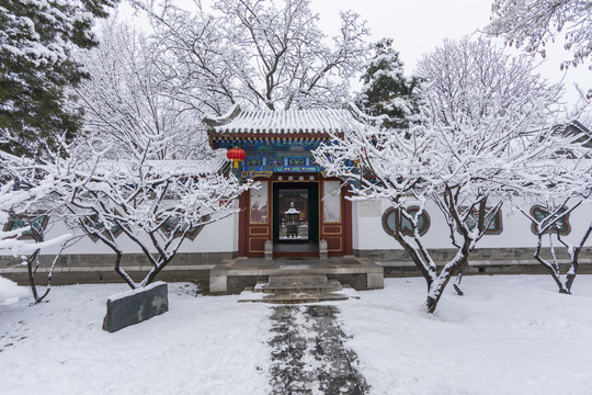 北京雪