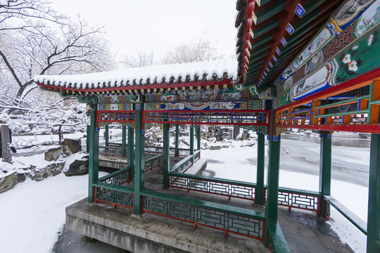 北京雪