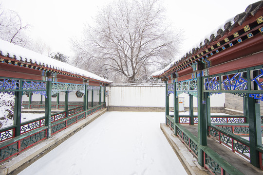 北京雪