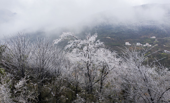 冰雪美图