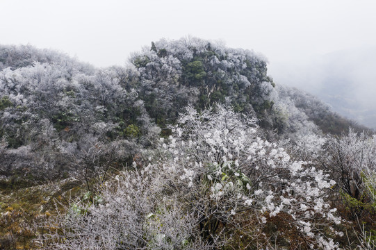 冰雪美图