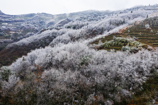 冰雪美图