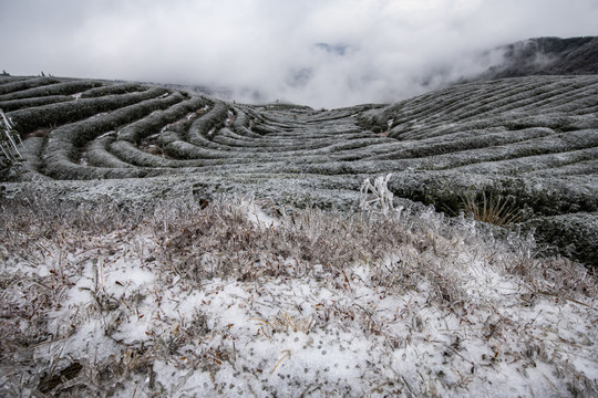 冰雪美图