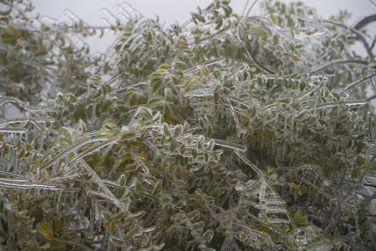 冰雪美图